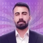نمای کاربران